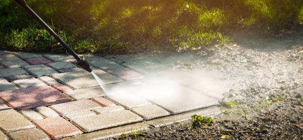Best House Exterior Washing  in Sandoval, IL